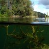 DIVERS.BY в экспедиции на озере ЮЖНЫЙ ВОЛОС
